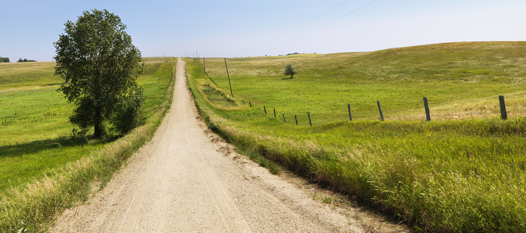 A dirt backroad going through fenced in pastures on a clear day.